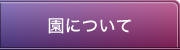 るんびに保育園について